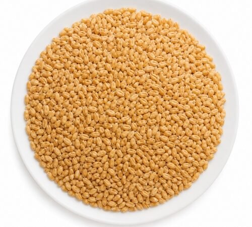 Sihor Wheat / सिहोर गहू