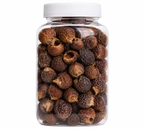 Soapnut / Reetha / रीठा