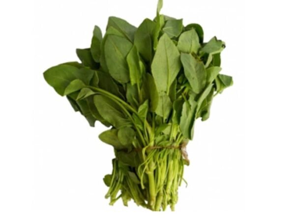 Green Sorrel / आंबट चुका