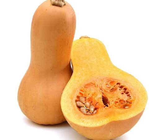 Butternut Squash / बटरनट स्कॉश
