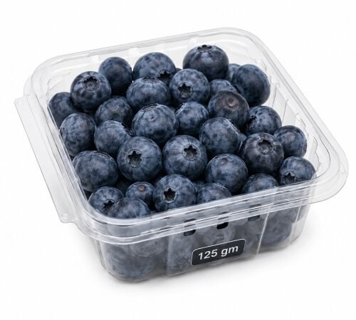 Fresh Blueberry / फ्रेश ब्लूबेरी