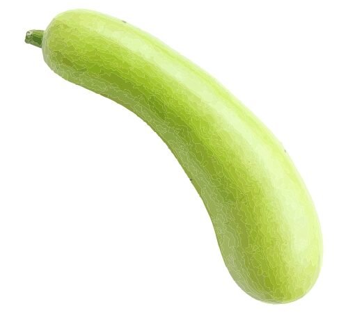 Bottle Gourd / दुधी भोपळा