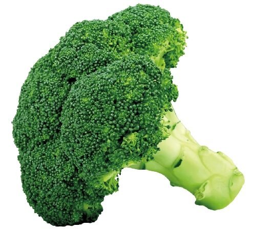Broccoli / ब्रोकोली