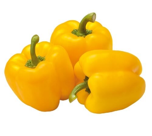 Capsicum - Yellow / सिमला मिरची - पिवळी