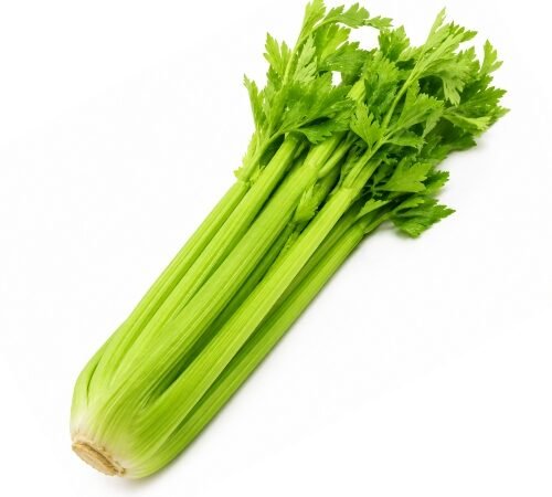 Celery / सेलेरी