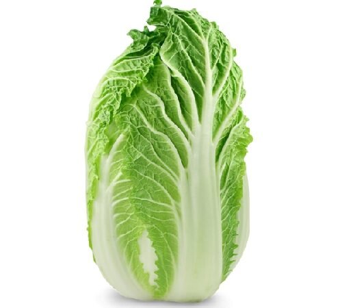 Chinese Cabbage / चायनीज कॅबेज