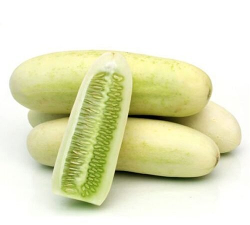 Cucumber - White / काकडी - पांढरी