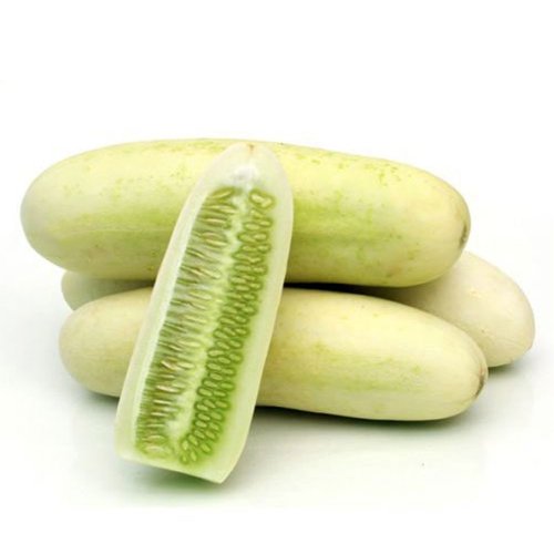 Cucumber Cucumber - White / काकडी - पांढरी - Image 1