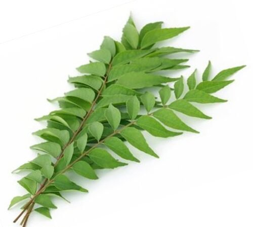 Curry Leaves / कढीपत्ता