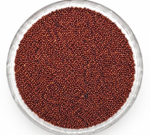 Finger Millet / रागी ( नाचणी )