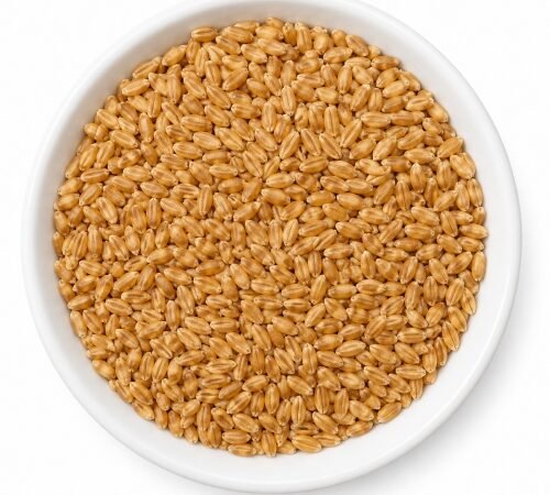 Khapli Wheat / खपली गहू