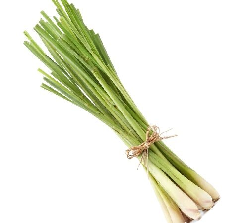 Fresh Lemon Grass / गवती चहा
