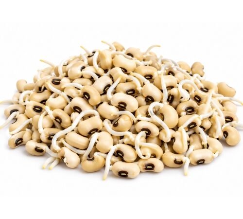 Lobia - Sprouted / चवळी - भिजवलेली