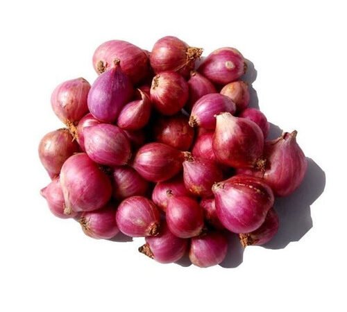 Madras Onion / मद्रास कांदा