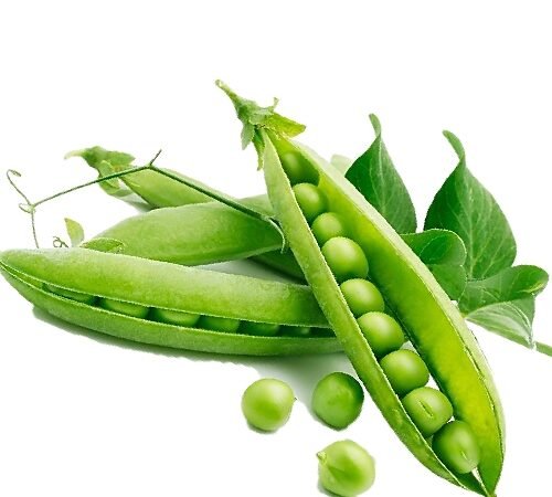 Green Peas / मटार शेंगा