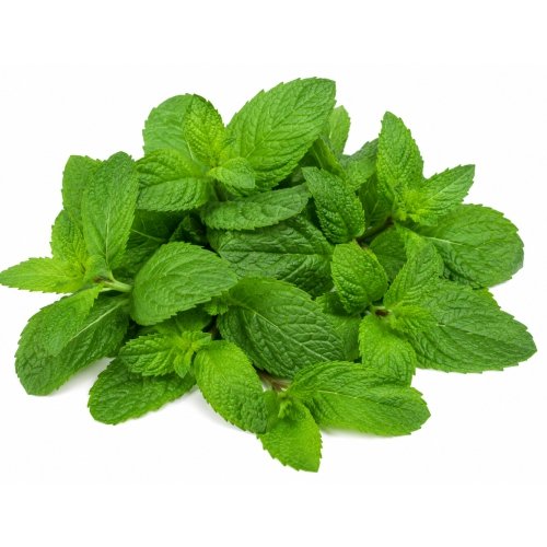 Mint leaves Mint (Leaves Only) / पुदीना - निवडलेला - Image 1