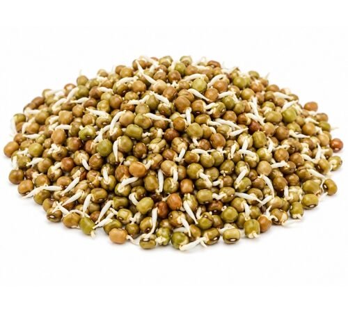Moth Beans - Sprouted / मटकी - मोड आलेली