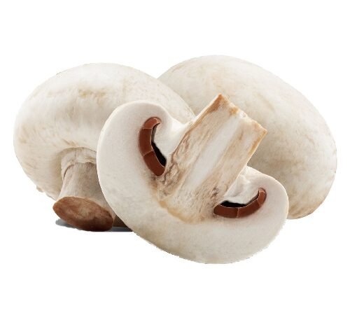 Button Mushrooms / बटण मशरूम