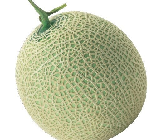 Muskmelon / खरबूज