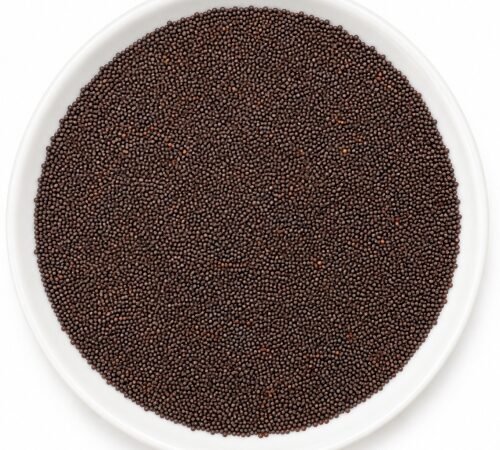 Mustard Seeds - Small / मोहरी - छोटी