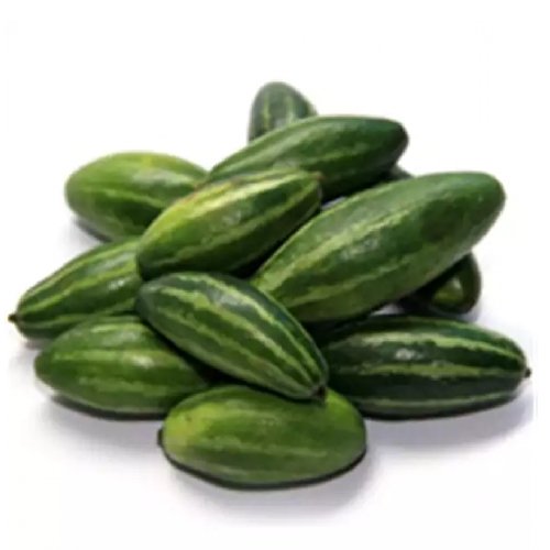 P gourd Pointed Gourd / परवल - Image 1