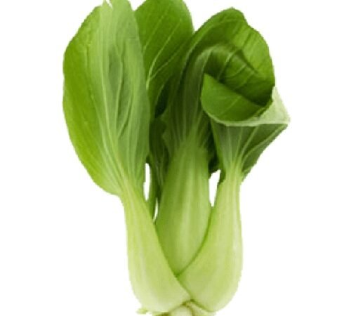 Pakchoi / पाकचोय