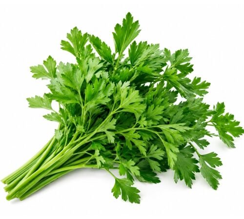 Fresh Parsley / पार्सले