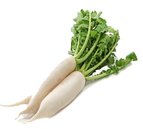 White Radish / पांढरा मुळा
