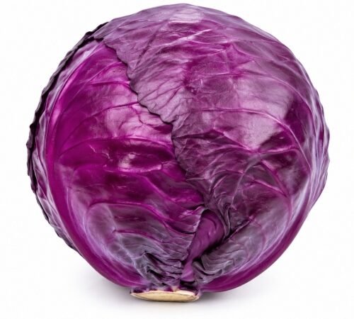 Red Cabbage / लाल कोबी