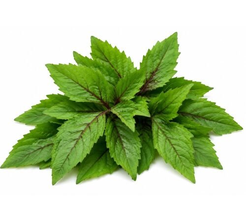 Roselle (Leaves only) / अंबाडी - निवडलेली