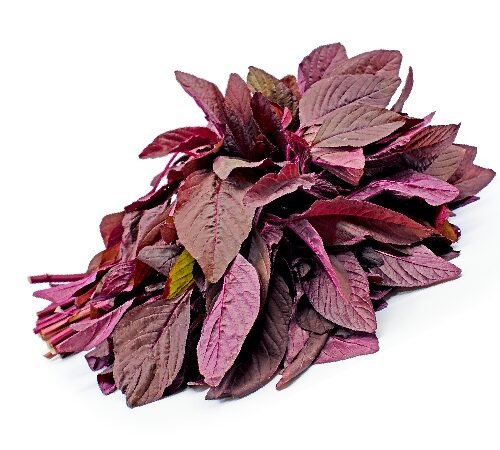 Amaranthus Red / लाल माठ