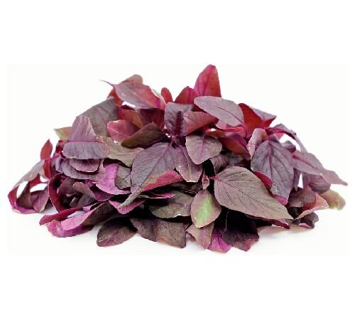 Red Amaranthus (Leaves only) / लाल माठ - निवडलेला