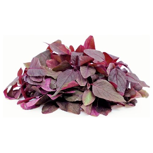 amaranthus leaves Red Amaranthus (Leaves only) / लाल माठ - निवडलेला - Image 1