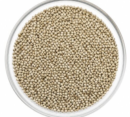 Pearl Millet-Bajra / बाजरी