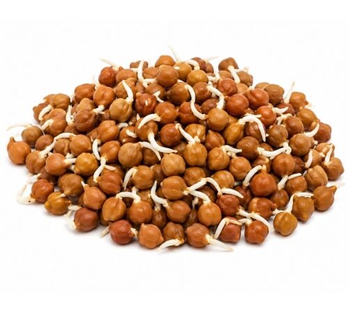 Brown Harbhara - Sprouted / हरभरा - मोड आलेला
