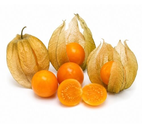 Cape Gooseberry / केप गूसबेरी