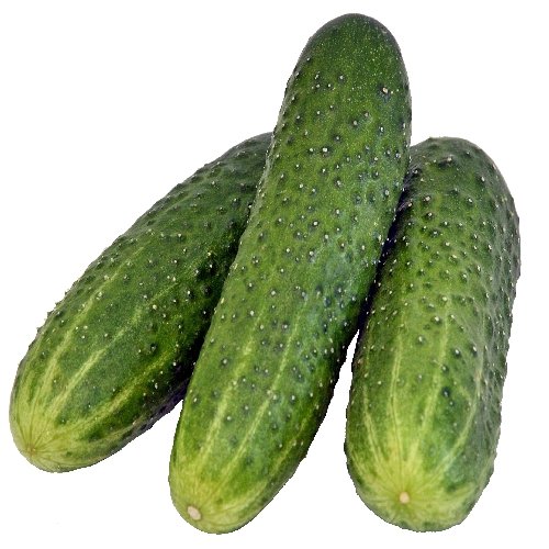 green cucu Cucumber - Green / काकडी - हिरवी - Image 1