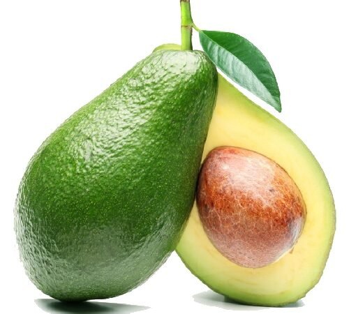Avocado-Indian / एव्होकॅडो-इंडियन