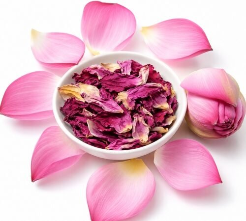 Dried Lotus Petals / वाळलेल्या कमळ पाकळ्या
