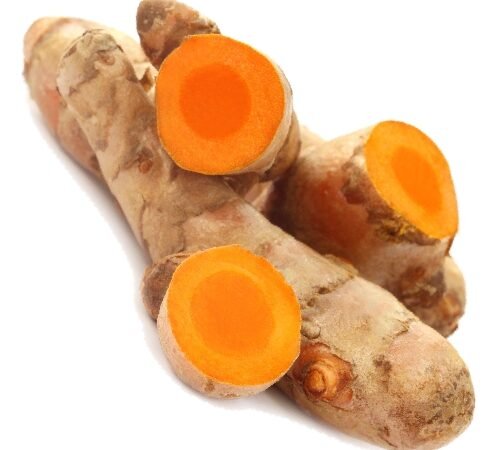 Fresh Turmeric / ओली हळद