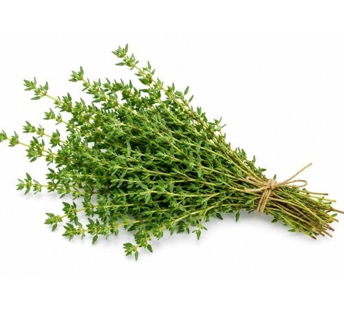 Fresh Thyme / फ्रेश थाईम