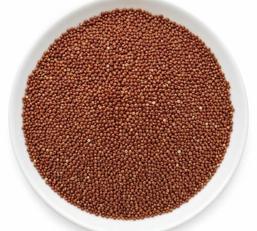 Brown Top Millet / कांग