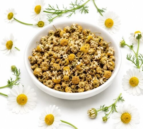 Dry Chamomile Flowers / वाळलेली कॅमोमाईल फुले