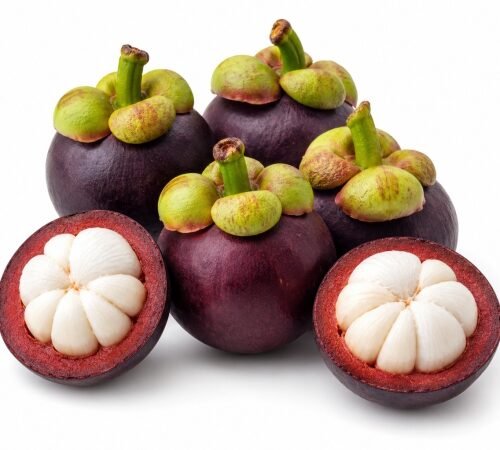 Mangosteen / मँगोस्टीन
