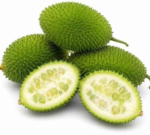 Spiny Gourd (Kantola) / कंटोळी (कर्टुले)