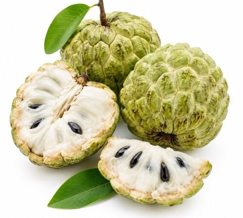 Custard Apple / सीताफळ